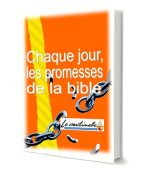 Emmanuel Duvieusart | Chaque jour les promesses de la Bible